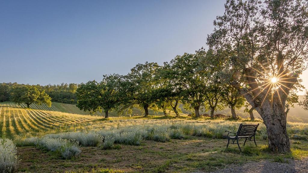 Il Poggio Di Teo Villa Manciano Kültér fotó