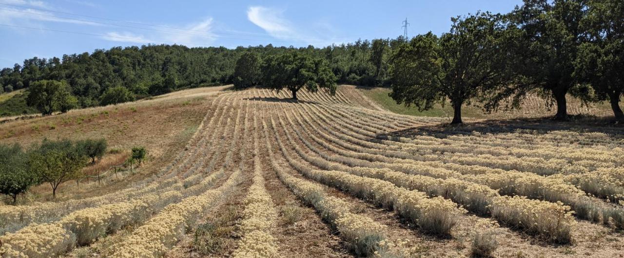 Il Poggio Di Teo Villa Manciano Kültér fotó