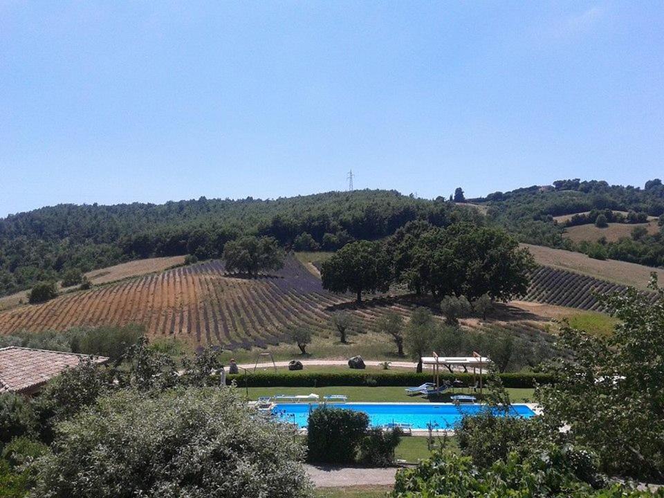 Il Poggio Di Teo Villa Manciano Kültér fotó