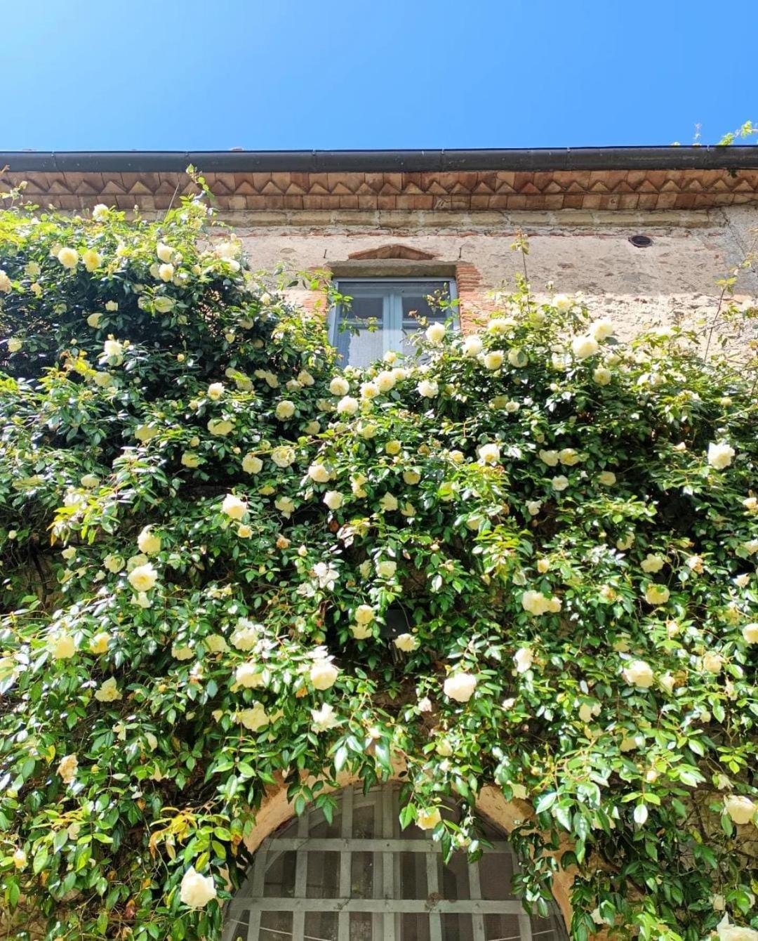 Il Poggio Di Teo Villa Manciano Kültér fotó